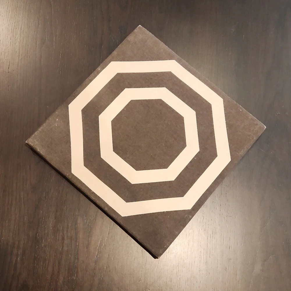 West Elm Double Octagon Decorative 12x12 Wall Art